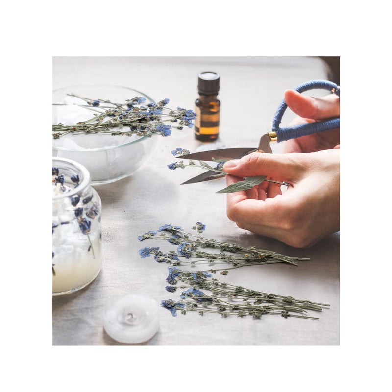 SOLARAE 100 Pcs Natural Forget Me Not Pressed Dried Flowers Dried Flower Real Dried Flowers for Resin Jewelry Candle Card Making Nail Art Flowers DIY Home Decoration for Indoor Outdoor Garden Porch Window - Image 4