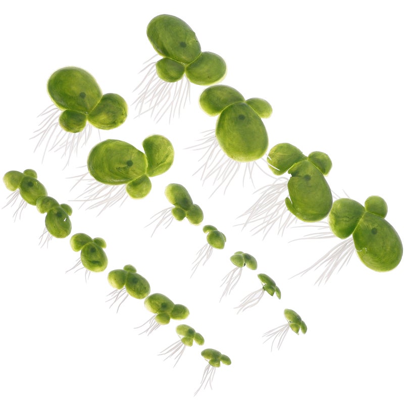 18pcs Aquarium Floating Plants Fish Plants Fake Duckweed Decorations - Image 1