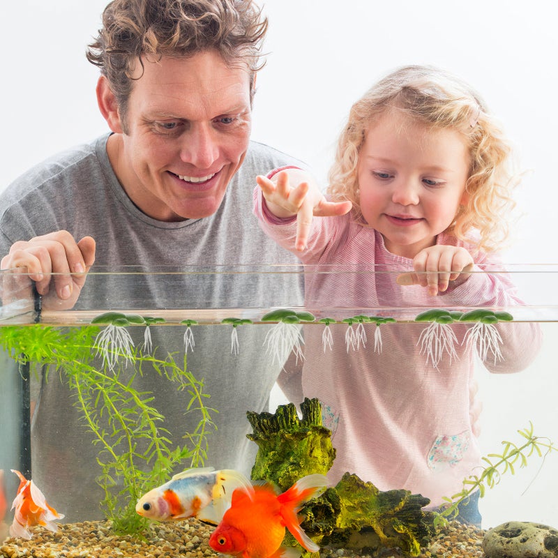 18pcs Aquarium Floating Plants Fish Plants Fake Duckweed Decorations - Image 4