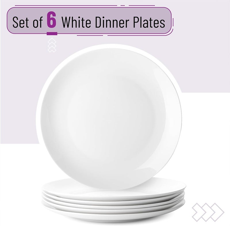 Brew To A Tea White Porcelain Dinner Plates Set of 6 105 Inch Classic Style Porcelain Construction Dinner Plates - Image 2