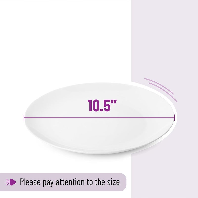Brew To A Tea White Porcelain Dinner Plates Set of 6 105 Inch Classic Style Porcelain Construction Dinner Plates - Image 5