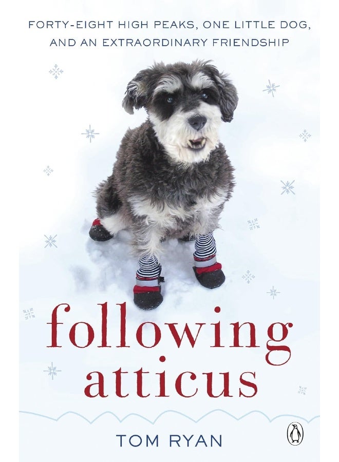 Following Atticus: How a little dog led one man on a journey of rediscovery to the top of the world 