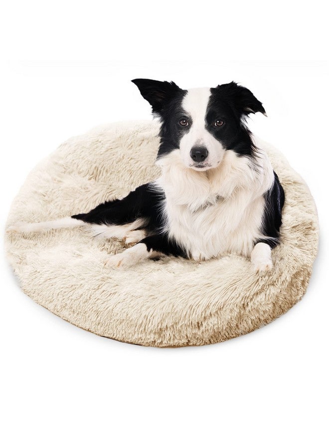 Active Premium Dog Beds For Large Dogs And Medium Dogs  Portable Dog Beds & Furniture  Dog Travel  Fits Up To 45Lbs, 30" X 30" (Medium, Beige) - Image 1