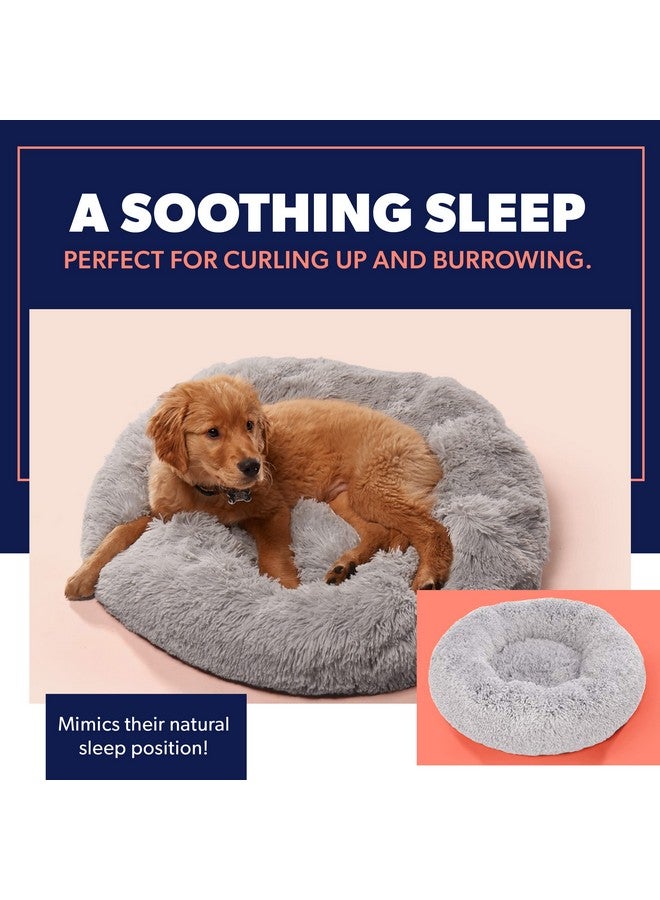 Active Premium Dog Beds For Large Dogs And Medium Dogs  Portable Dog Beds & Furniture  Dog Travel  Fits Up To 45Lbs, 30" X 30" (Medium, Beige) - Image 4