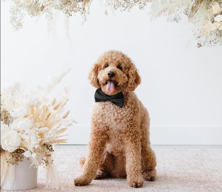 cossess Cute Adjustable Black Pet Bows for Dogs and Cats - Image 1