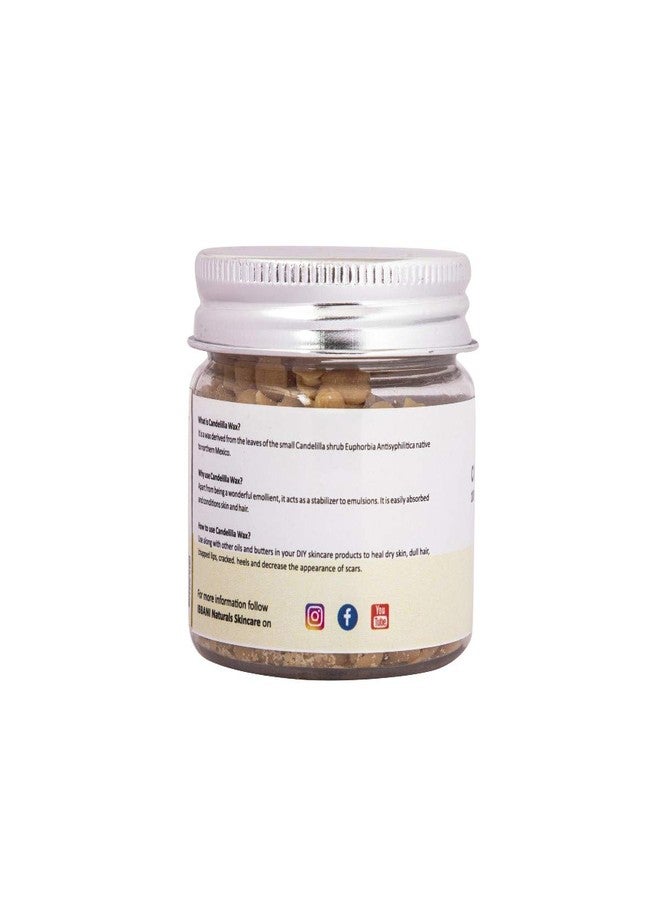 IBBANI Naturals Candelilla Wax 50g | 100% Raw and Unrefined FSSAI Approved | Pure Candelilla Wax Used for Chapped Lips, Dull Hair & Reduce The Appearance of Scars| Pack of 3 - Image 4