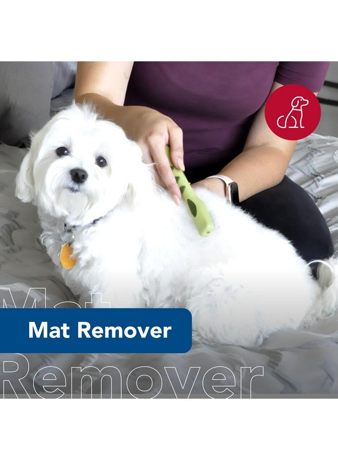 كوستال مشط إزالة تشابك شعر الحيوانات الأليفة الساحلية - فرشاة للكلاب ذات الشعر الخشن أو المتشابك أو متوسط إلى طويل - مقاس واحد - Image 2