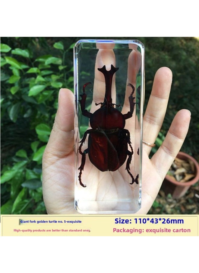 Insect Specimen Real Mono Fairy Amber Scarab Book Town Home Desk Decoration Mantis Spider Scorpion Factory-Color:Giant Fork Unicorn Fairy 5  - Image 1