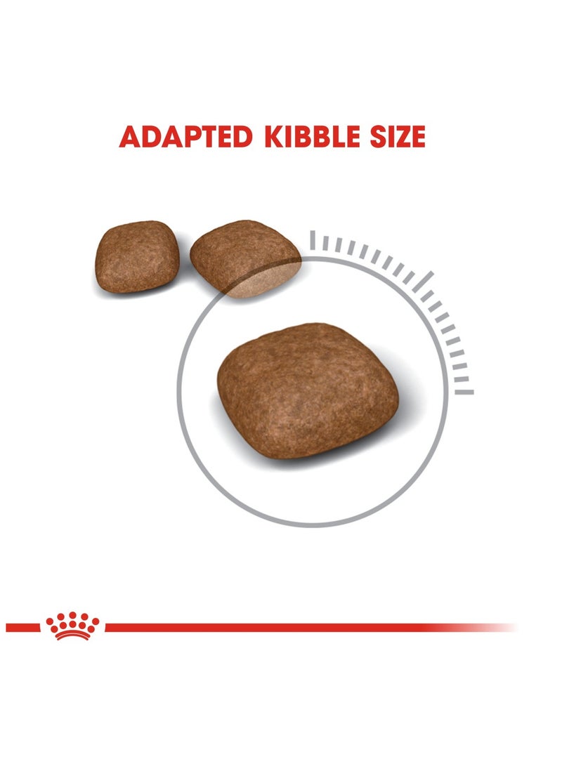 Royal Canin Urinary Care Dry Food for Adult Cats,4kg - Image 3