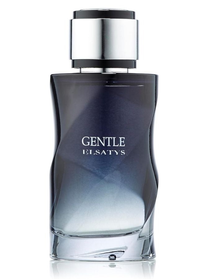 Reyane Tradition Elsatys Gentle Perfumes For Men EDP 100ml - Image 1