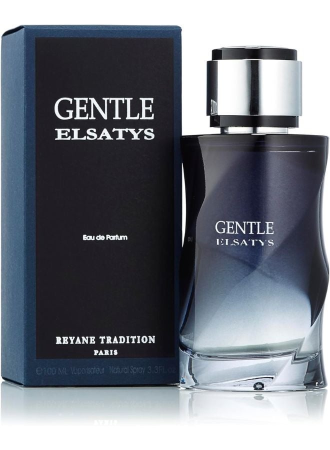 Reyane Tradition Elsatys Gentle Perfumes For Men EDP 100ml - Image 2