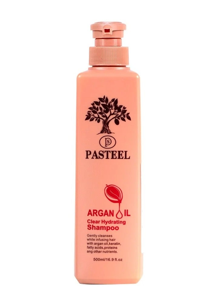PASTEEL Shampoo With Argan Oil 500 ml