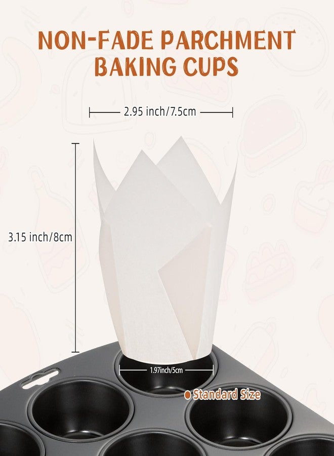 JIRNGLA Tulip Cupcake Liners, Baking Cups for Muffins and Cupcakes - Image 2