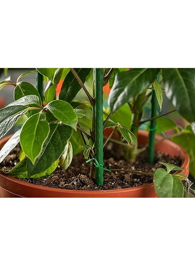 SGC Gl 20109 Pe Cotted Steel Plant Support Cane 90 Cm Length X 1.1 Cm Width - Image 4