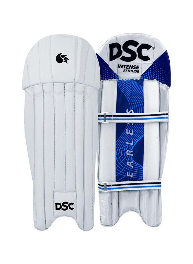 DSC Intense Attitude Wicket keeping Legguard  - Image 1