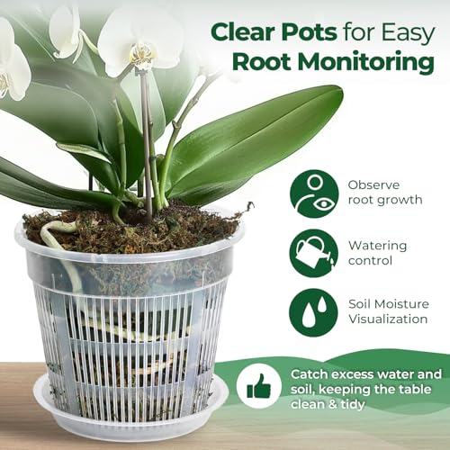 T4U Orchid Pot, 9 Pack Orchid Pots with Holes and Saucers for Repotting, 3 Each of 4.3, 5.5 and 6.3 Inch, Clear Plastic Flower Plant Pot for Indoor Outdoor Plants, Orchids Planter for Root Health - Image 5