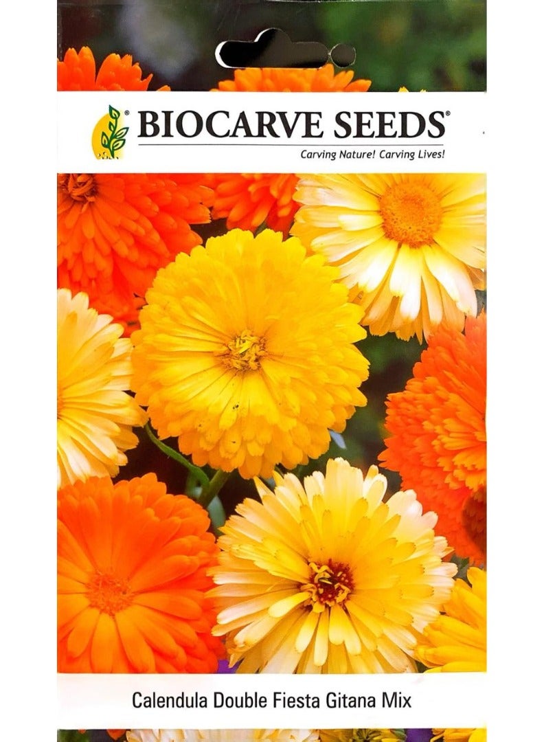 BIOCARVE SEEDS BIOCARVE Mix Calendula Double Fiesta Gitana Seeds