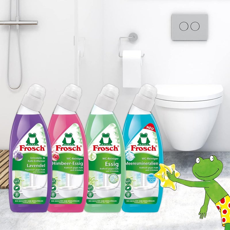 Frosch Raspberry Vinegar Toilet Cleaner 750 ml - Image 1
