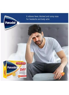 Cold And Flu Day Caplets-24'S. - pzsku/ZF01963D4A6A01ABBDC59Z/45/_/1711371260/42485010-f604-40bc-9738-5c61c2737a6f