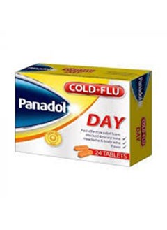 Cold And Flu Day Caplets-24'S. - pzsku/ZF01963D4A6A01ABBDC59Z/45/_/1728279395/2dfd67ba-5d88-48ae-bfdd-a207b8304038