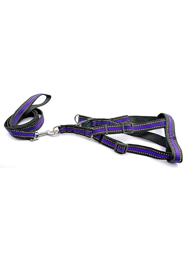 Dog Harness With Leash, Reflective, Adjustable Comfortable Dog Harness Leash Set 1 Inch Night Safty, Out-Door Walking (Purple) - Image 1