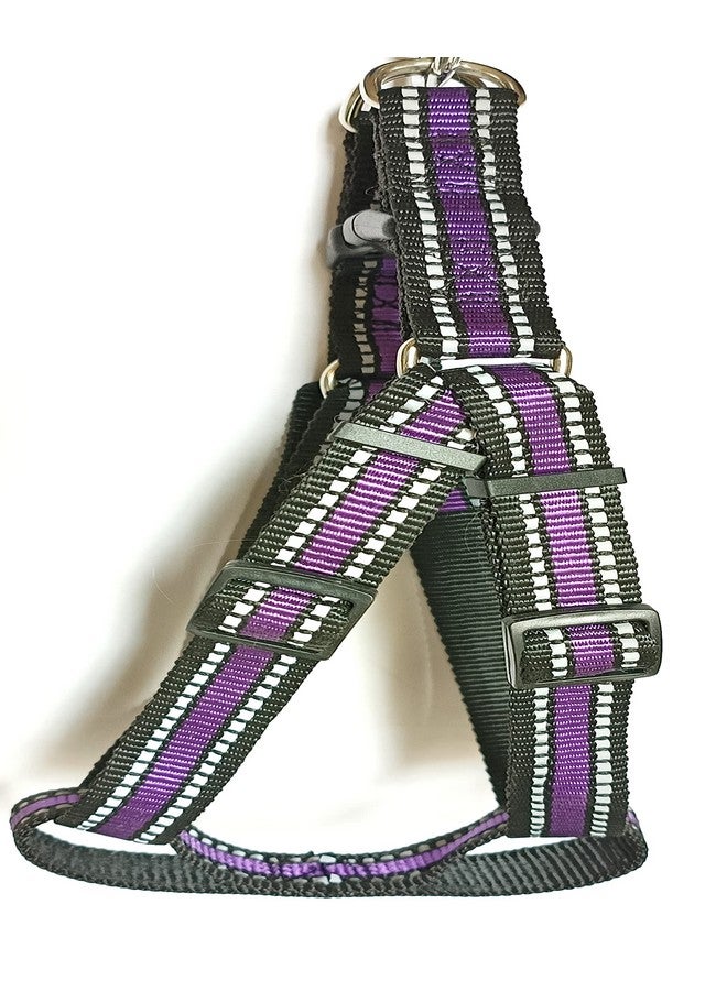 Dog Harness With Leash, Reflective, Adjustable Comfortable Dog Harness Leash Set 1 Inch Night Safty, Out-Door Walking (Purple) - Image 4