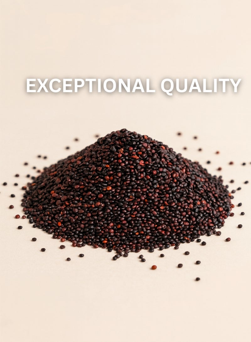 زهر بذور الكينوا السوداء المجففة من AL ZAHR - نقية 100%، فرز يدوي، عالية الجودة، مصدر طبيعي - Image 3
