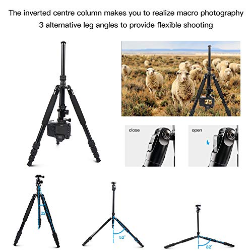 Sirui Compact Traveler 7A Tripod 65.55 inches Lightweight Aluminum Travel Tripod Portable Monopod with 360° Panorama Ball Head and Arca Swiss Quick Release Plate Load Capacity Up to 8kgs - Image 4