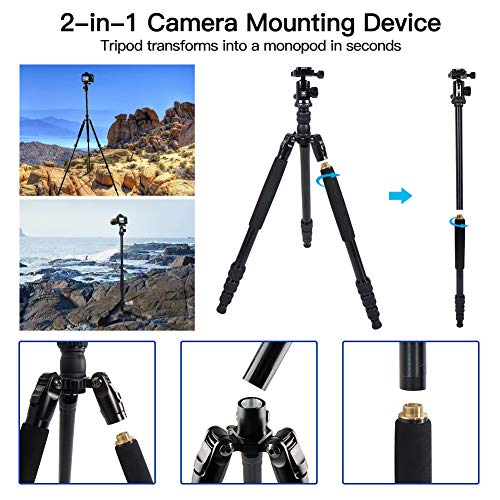 Sirui Compact Traveler 7A Tripod 65.55 inches Lightweight Aluminum Travel Tripod Portable Monopod with 360° Panorama Ball Head and Arca Swiss Quick Release Plate Load Capacity Up to 8kgs - Image 3