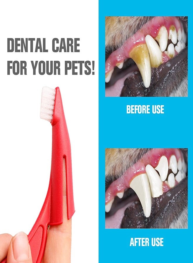 ويستيرن إرا فرشاة أسنان ناعمة للكلاب من ويسترن إيرا، فرشاة أسنان للكلاب، فرشاة أسنان للأصابع، فرشاة أسنان للحيوانات الأليفة، مناسبة للكلاب الصغيرة والكبيرة - Image 4