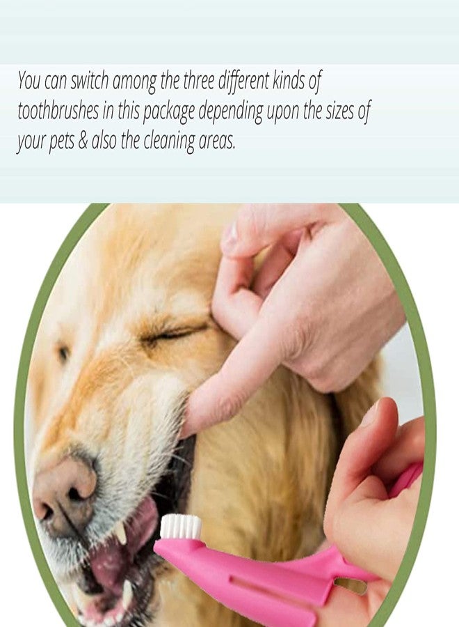 ويستيرن إرا فرشاة أسنان ناعمة للكلاب من ويسترن إيرا، فرشاة أسنان للكلاب، فرشاة أسنان للأصابع، فرشاة أسنان للحيوانات الأليفة، مناسبة للكلاب الصغيرة والكبيرة - Image 2