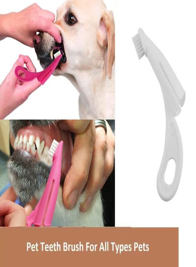 ويستيرن إرا فرشاة أسنان ناعمة للكلاب من ويسترن إيرا، فرشاة أسنان للكلاب، فرشاة أسنان للأصابع، فرشاة أسنان للحيوانات الأليفة، مناسبة للكلاب الصغيرة والكبيرة - Image 3