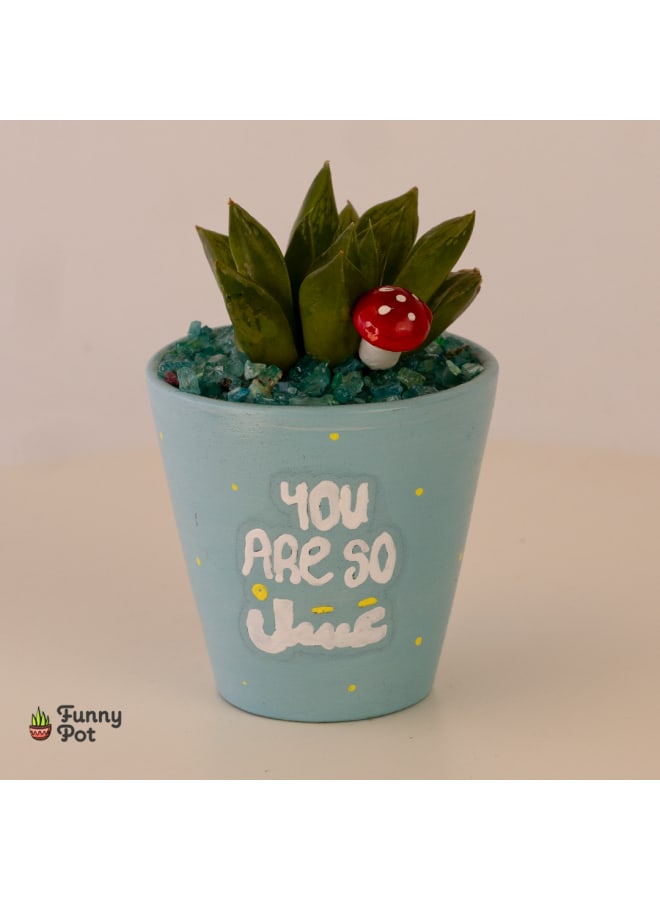 بوت صبار طبيعي - فيروزي - 18*10 سم