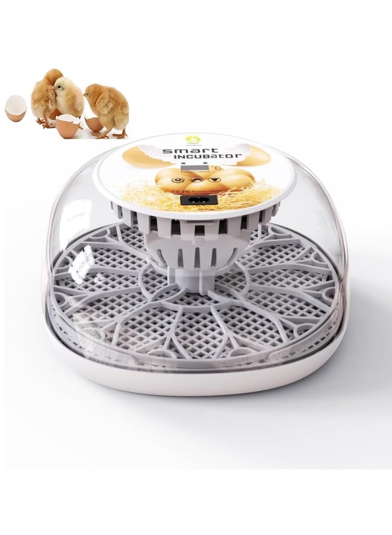 Relex Egg Incubator for Hatching with Automatic Egg Turning Led Egg Test Lamp Clear Lid Easy to Wash 12 Eggs Poultry Hatcher Farm Bird Quail Chicken Poultry Farm Hatcher Turner Incubation Tools  - Image 1