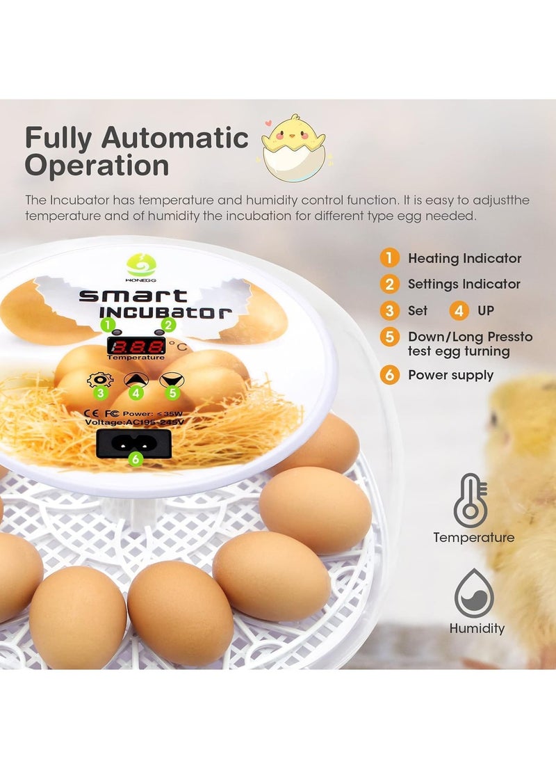 Relex Egg Incubator for Hatching with Automatic Egg Turning Led Egg Test Lamp Clear Lid Easy to Wash 12 Eggs Poultry Hatcher Farm Bird Quail Chicken Poultry Farm Hatcher Turner Incubation Tools  - Image 2