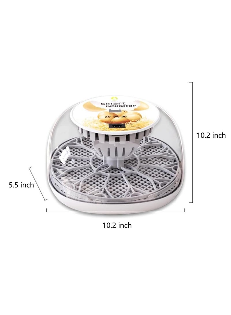 Relex Egg Incubator for Hatching with Automatic Egg Turning Led Egg Test Lamp Clear Lid Easy to Wash 12 Eggs Poultry Hatcher Farm Bird Quail Chicken Poultry Farm Hatcher Turner Incubation Tools  - Image 4