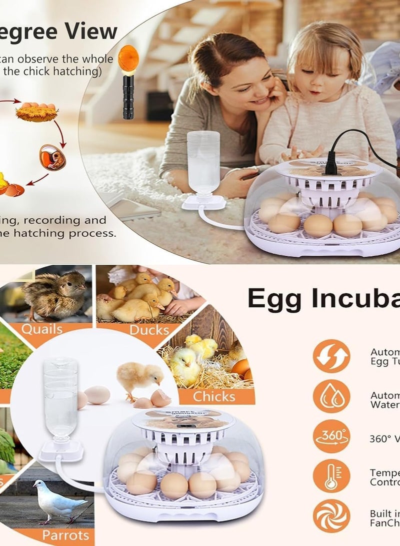 Relex Egg Incubator for Hatching with Automatic Egg Turning Led Egg Test Lamp Clear Lid Easy to Wash 12 Eggs Poultry Hatcher Farm Bird Quail Chicken Poultry Farm Hatcher Turner Incubation Tools  - Image 5