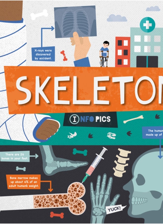 Skeleton 