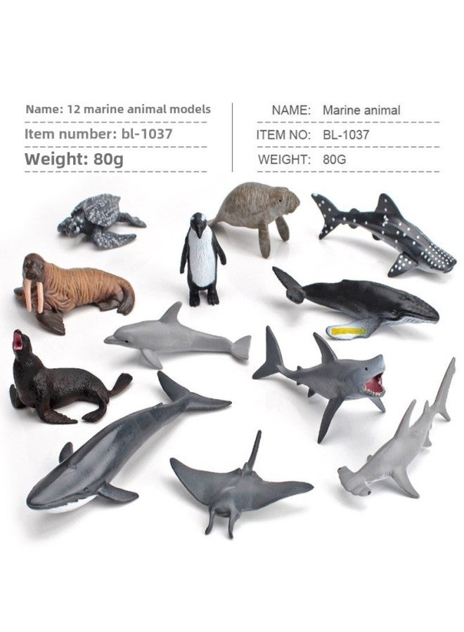 Simulation Of Whale Sharks, Tiger Sharks, Blue Whales, Marine Life Models, Deep-sea Prehistoric Ancient Duns, Trilobites, Animal Models-Color:Pl127-219 Whale Shark 305g  - Image 5