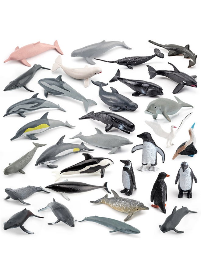 Simulation Of Whale Sharks, Tiger Sharks, Blue Whales, Marine Life Models, Deep-sea Prehistoric Ancient Duns, Trilobites, Animal Models-Color:Pl127-219 Whale Shark 305g  - Image 3