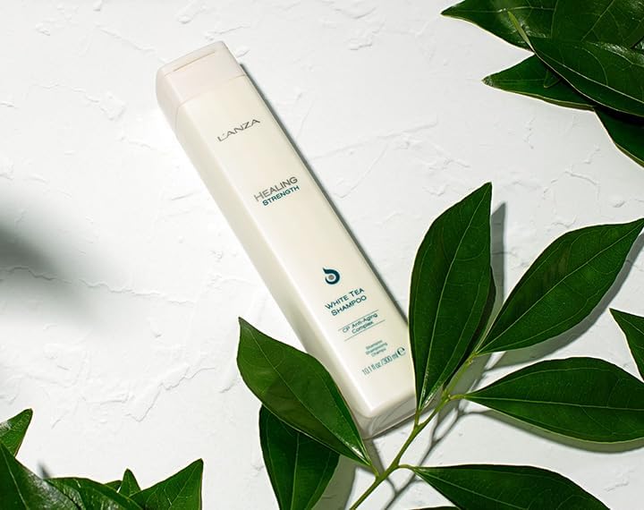 LANZA شامبو ل'أنزا هيلينغ سترينغث بالشاي الأبيض، شامبو للشعر يقوي ويحمي ويستعيد الشعر الضعيف والهش والقديم ضد تقصف الأطراف والسيطرة على التجاعيد، عناية فاخرة بالشعر - Image 4