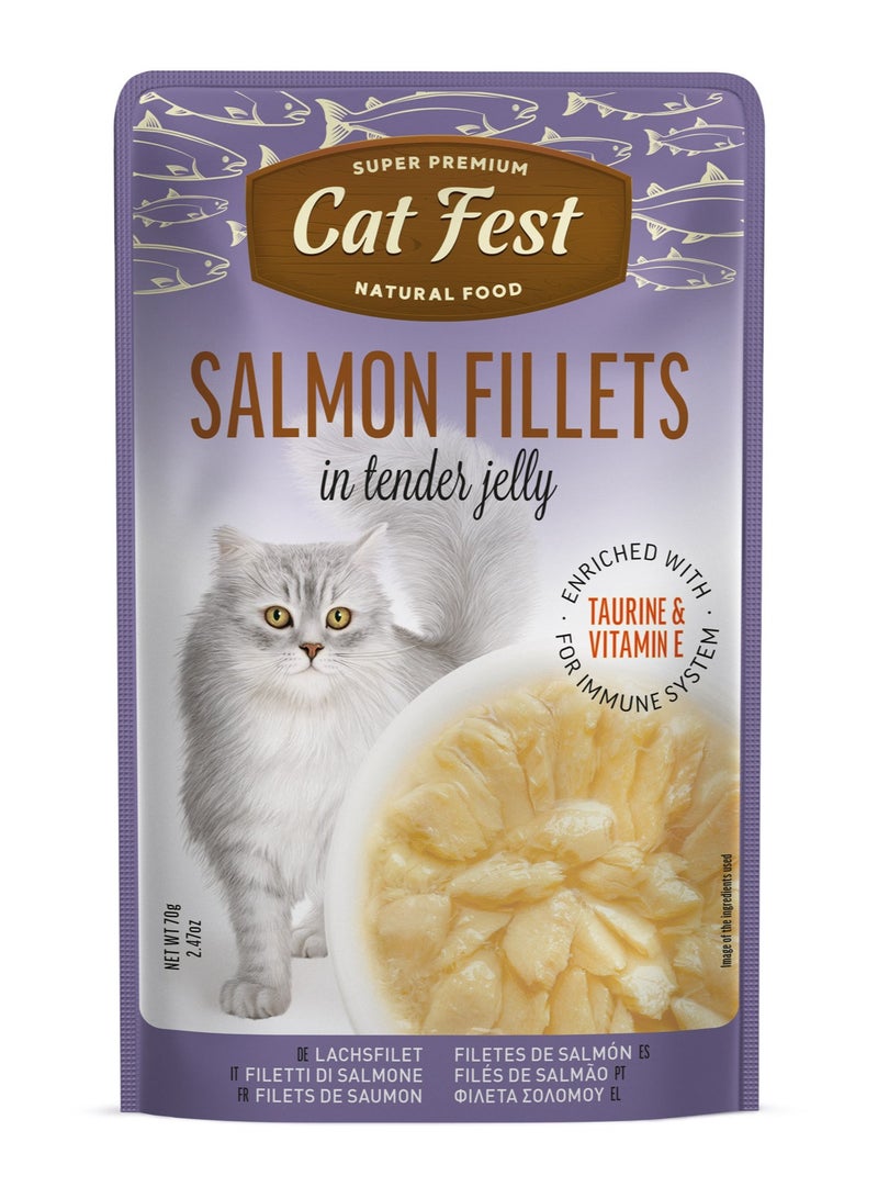 Cat Fest CatFest Salmon Fillets in Tender Jelly, Natural Wet Cat Food, High Protein, Grain-Free, 70g Pouch  - Image 1