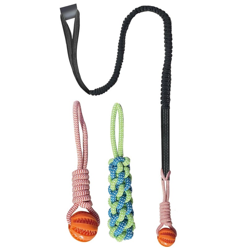 ASDICOXB Interactive Dog Toys Tug of War Dog Toy for Small/Medium/Large Dogs,Teething Rope for Teeth Cleaning,Puzzle Ball for Chewing,Dog Bungee Tug Toy Kit, Blue - Image 1