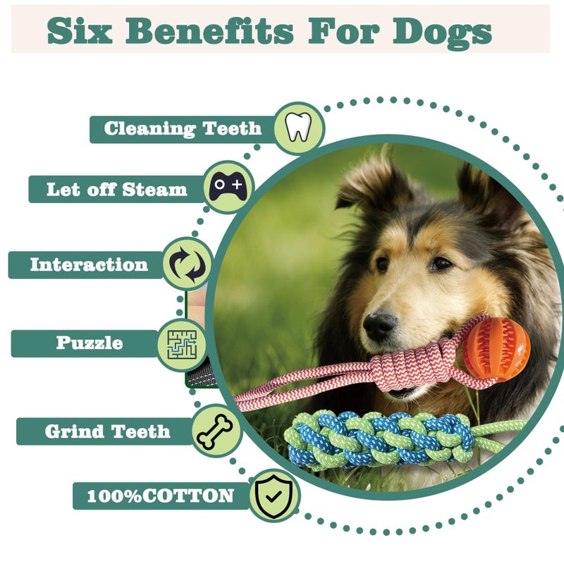 ASDICOXB Interactive Dog Toys Tug of War Dog Toy for Small/Medium/Large Dogs,Teething Rope for Teeth Cleaning,Puzzle Ball for Chewing,Dog Bungee Tug Toy Kit, Blue - Image 5
