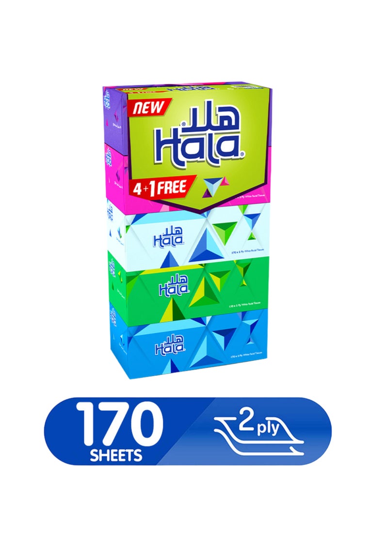 Hala Facial Tissue 2 Ply 170 Sheets Assorted Pack of 5 - Image 5