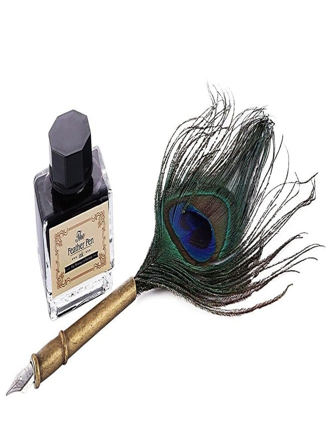 KIRA HP Peacock Feather Pen Set Antique Calligraphy Writing Quill Ink Dip Pen With Ink Bottle, Nib- Perfect for Calligraphy Art, Lettering, and More - Image 3