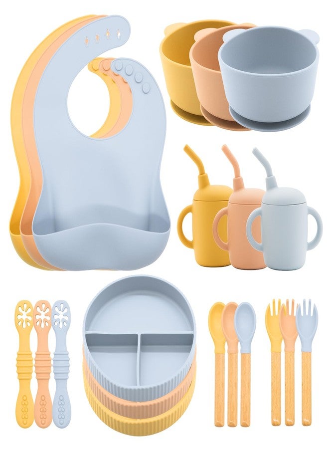 CHCC Silicone Baby Feeding Set 21 Pcs, Baby Led Weaning Supplies, Baby Feeding Supplies Set BPA Free, Essentials for Newborn Gift Mixed - Image 1