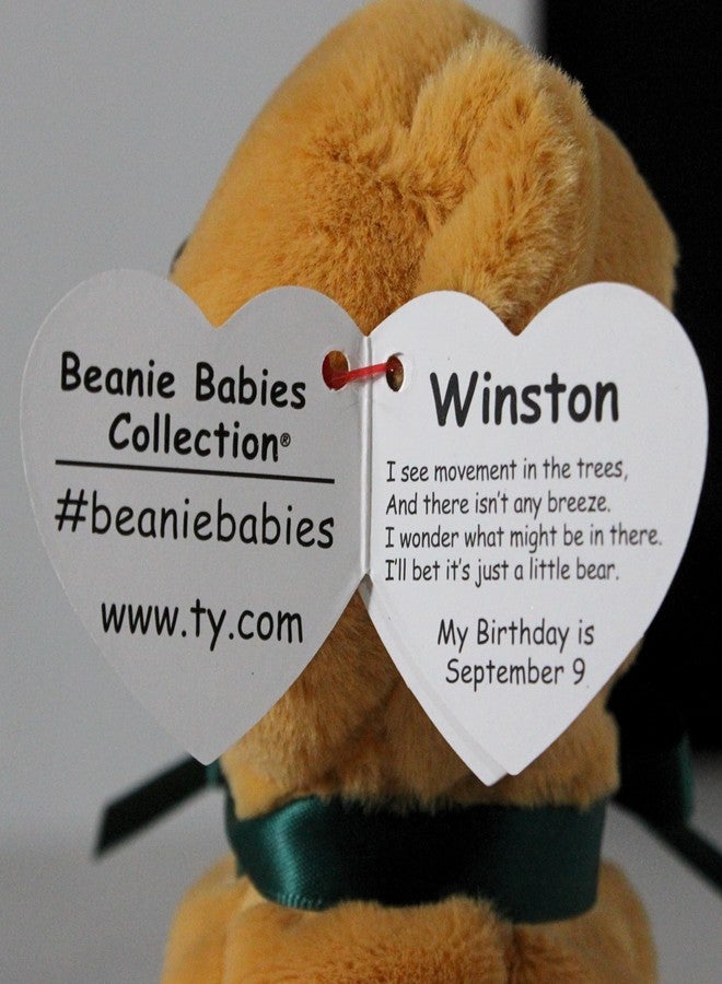 Ty New! Beanie Babies Winston Brown Bear 8" - Image 4