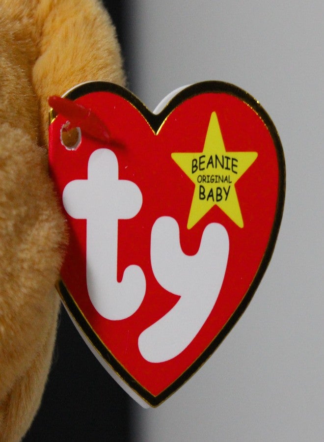 Ty New! Beanie Babies Winston Brown Bear 8" - Image 5