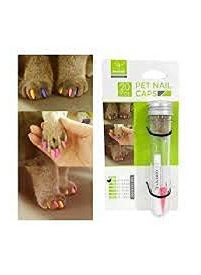 20 قطعة من أغطية أظافر القطط، أغطية أظافر ناعمة ملونة للقطط والكلاب الأليفة مع غراء وأدوات تطبيق (قد يختلف اللون) (صغير) - Image 2